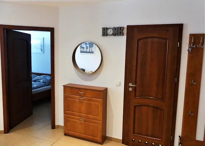 Zakatek W Blue Mare *