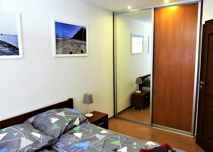 Zakatek W Blue Mare *