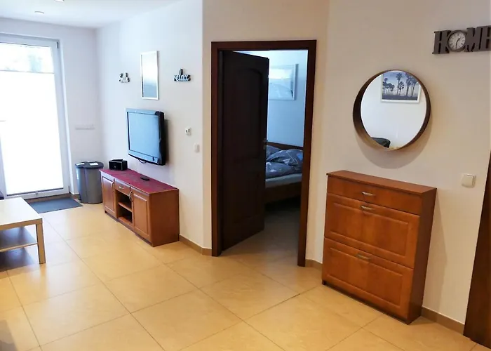 Zakatek W Blue Mare *